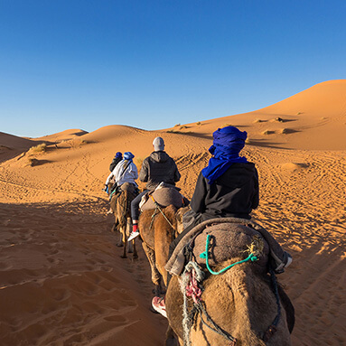 Blue skies overlooking a group of travellers wearing colourful head scarfs, while travelling in a line through sand dunes.