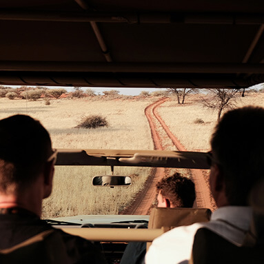 Travellers being driven on a SUV during a game drive, while overlooking bush and dirt road ahead.