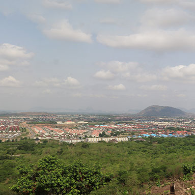 Green vegetation with city in the background.
