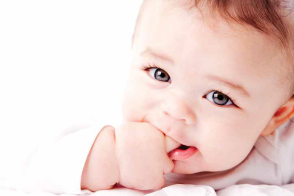 MedAdd and MedAdd Elect MedAdd and MedAdd Elect